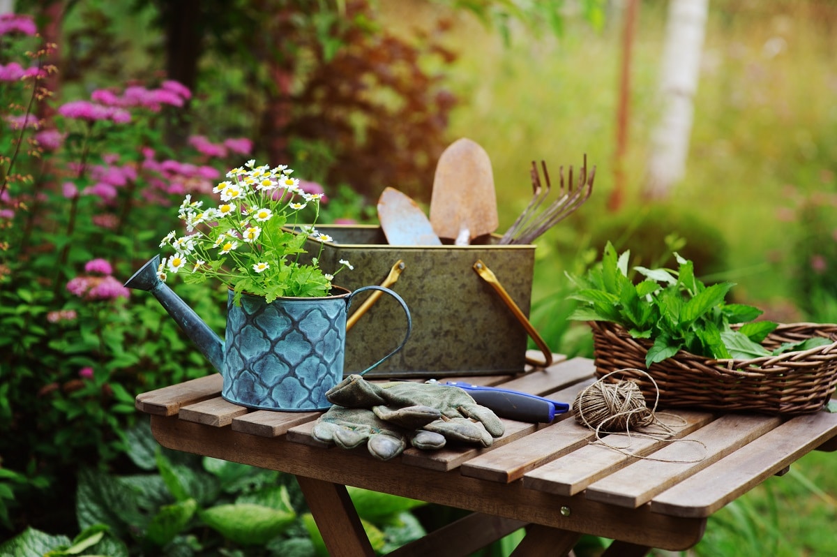 A Garden Table with Rusty Tools