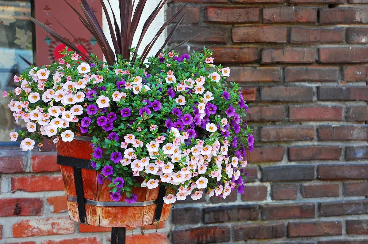 Use Vinegar in the garden to keep planters clean