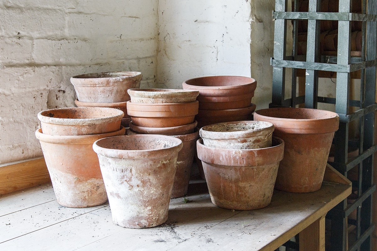 Old terracotta pots
