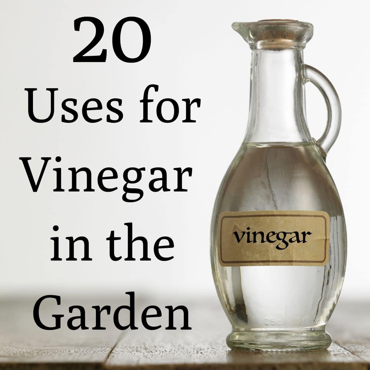 does white vinegar keep dogs away