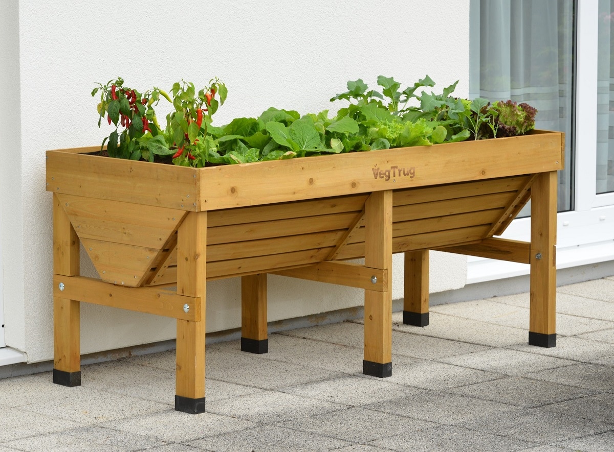 Peppers are one of the best plants to grow in a VegTrug