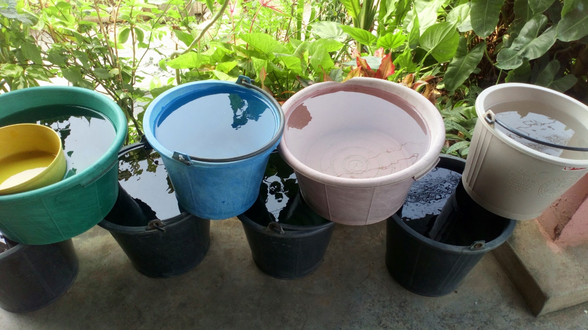 Rain in pots