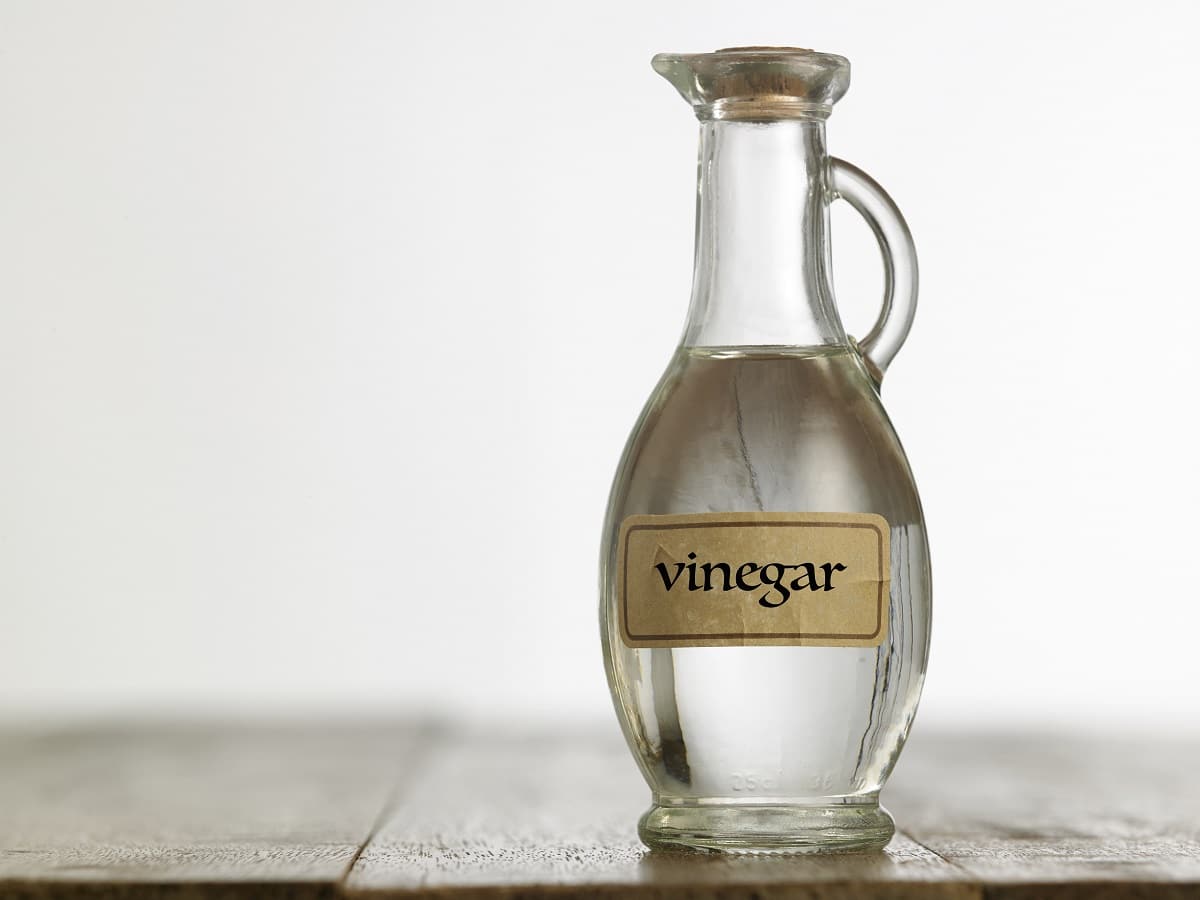 does white vinegar keep dogs away