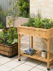 cropped-VegTrug-Herb-Garden.jpg