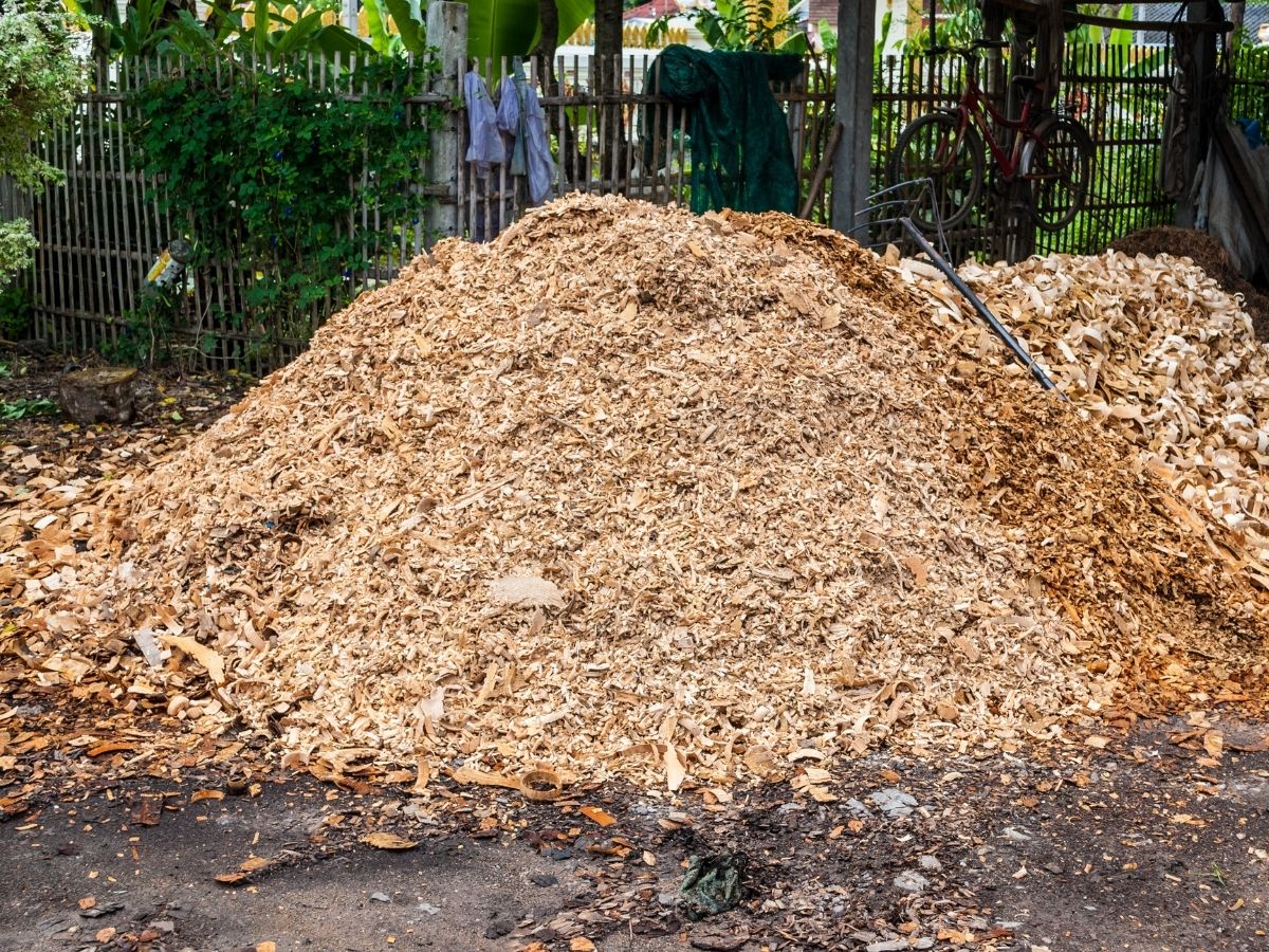 Sawdust pile