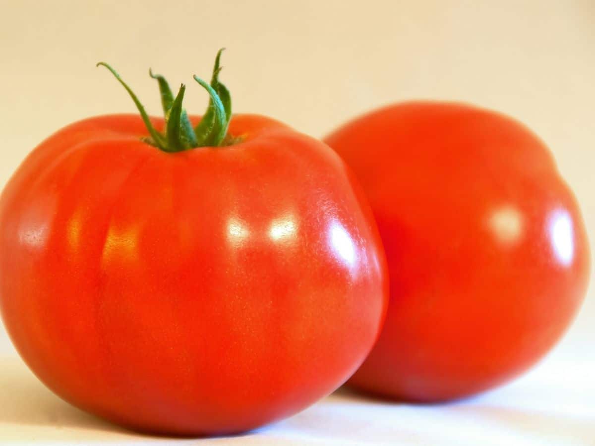 Bonny Best Tomatoes