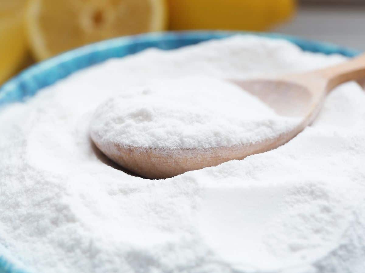 12 Amazing Ways to Use Baking Soda in the Garden - Gardening