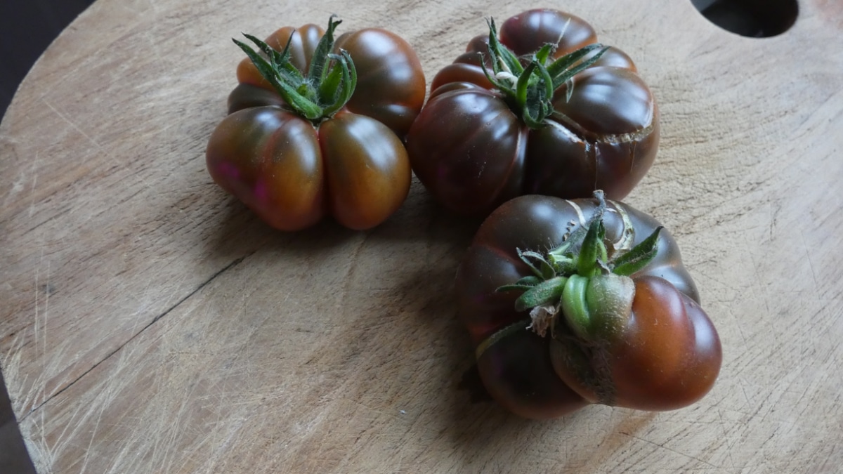 Brandywine tomatoes