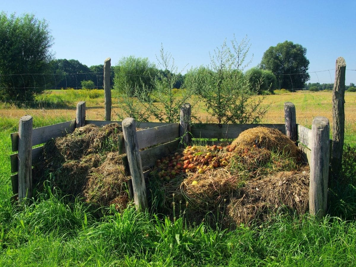 Compost Piles