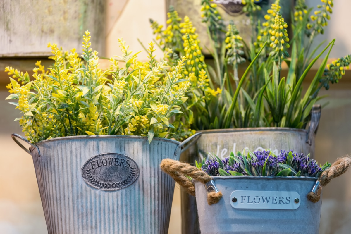 Container Growing