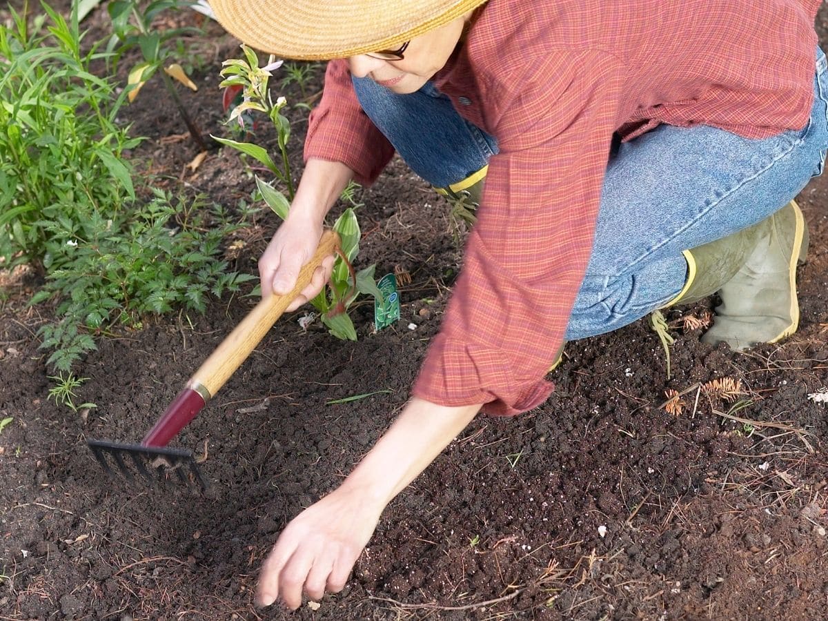 Digging in soil