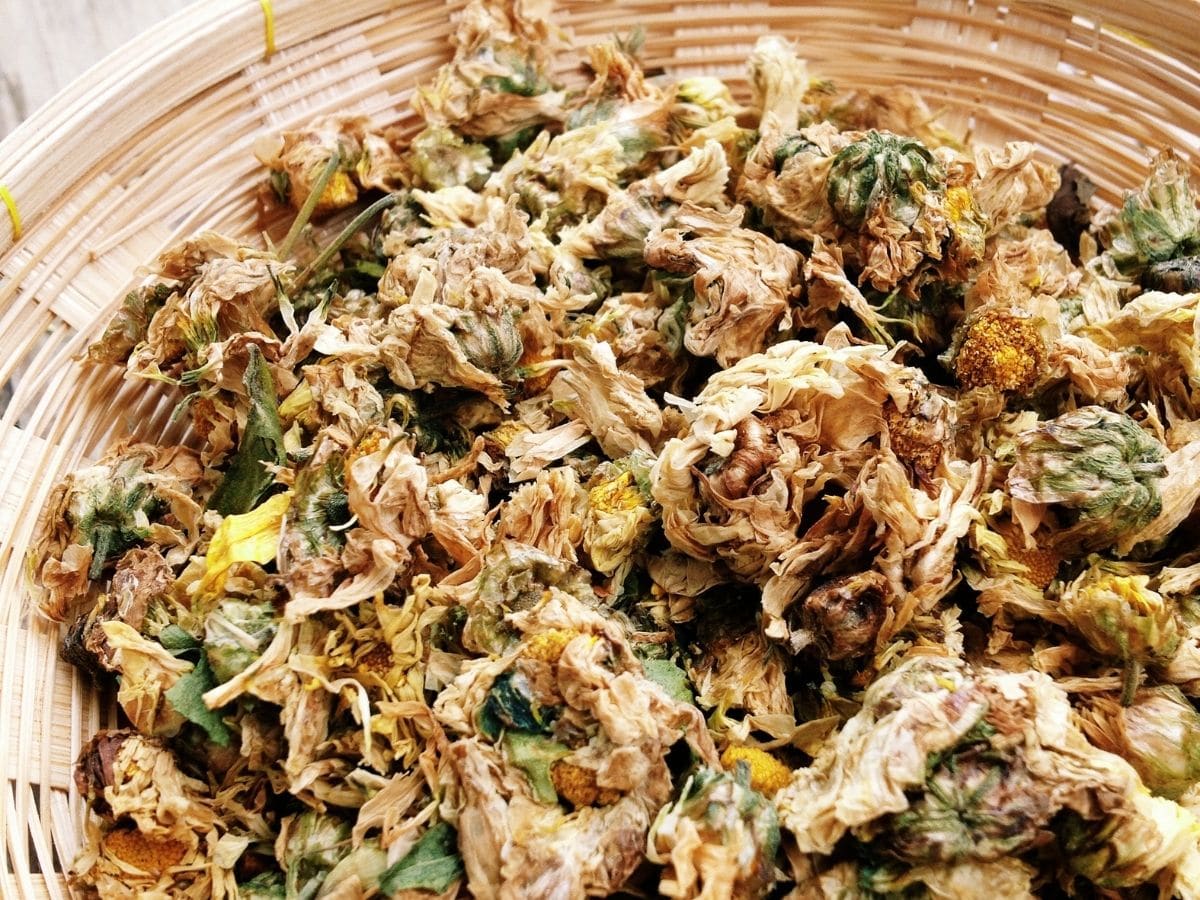 Dried Chrysanthemums