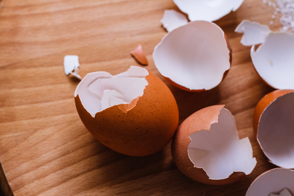 Eggshells