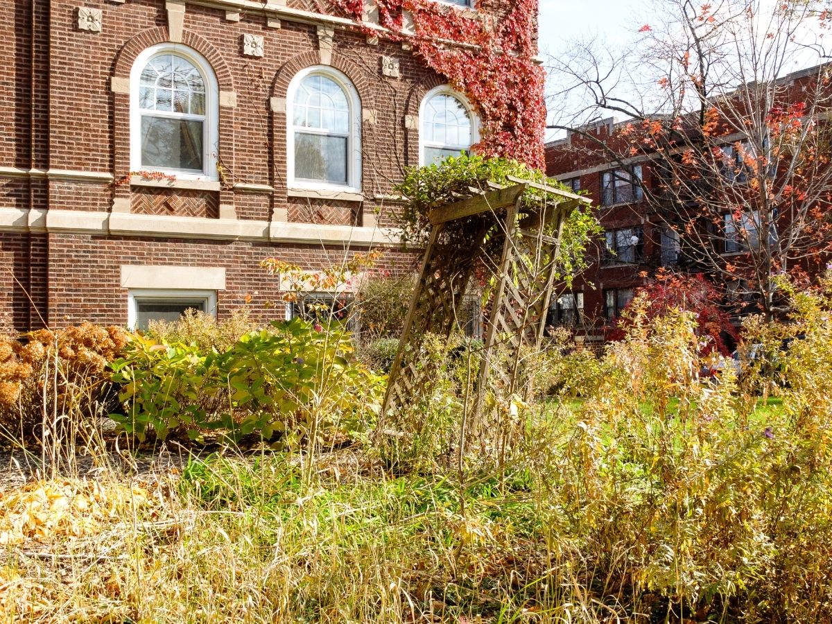 Fall Garden Mess