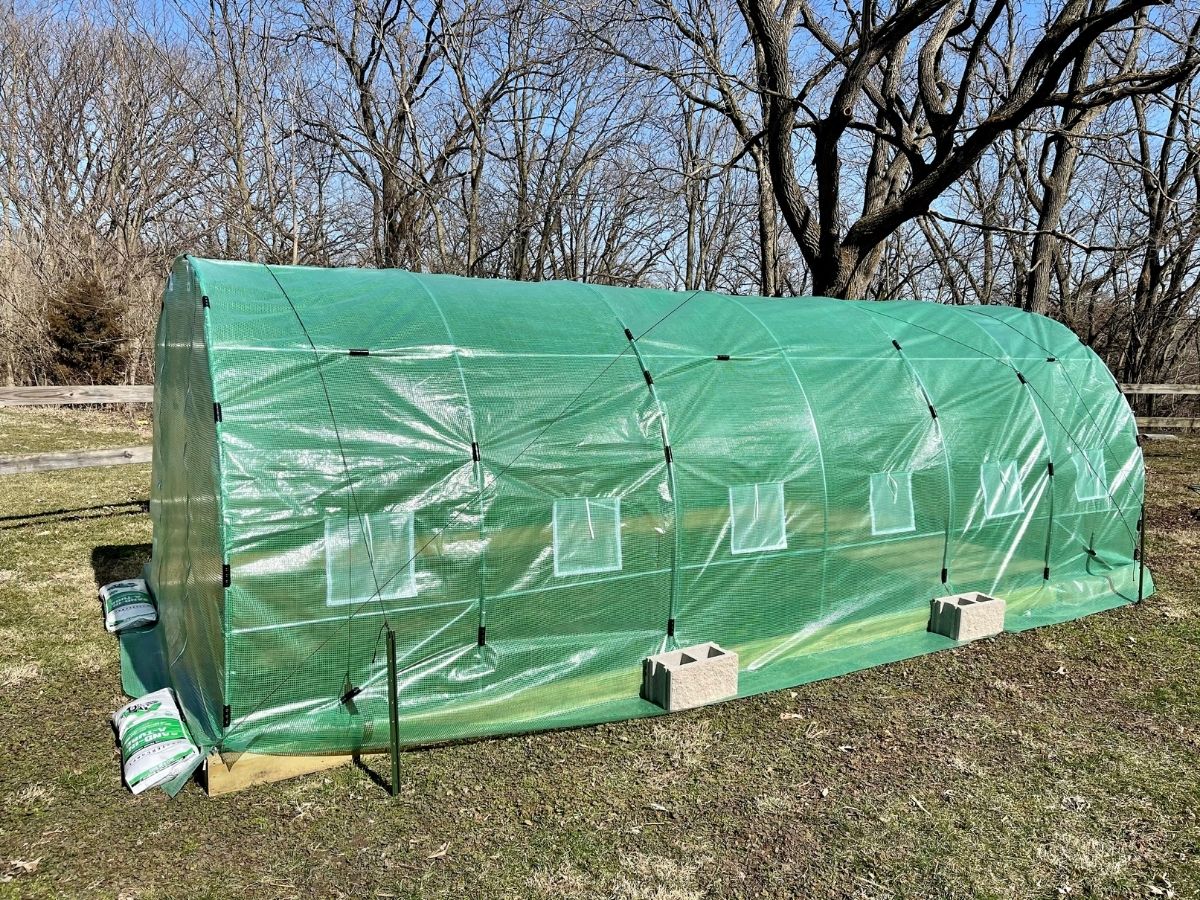Side of greenhouse with cinderblocks on edge of tarp
