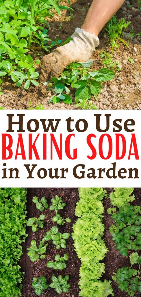 15 Smarter Ways You Should Be Using Baking Soda