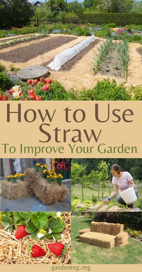 19 Smart Ways To Use Straw In The Garden Gardening