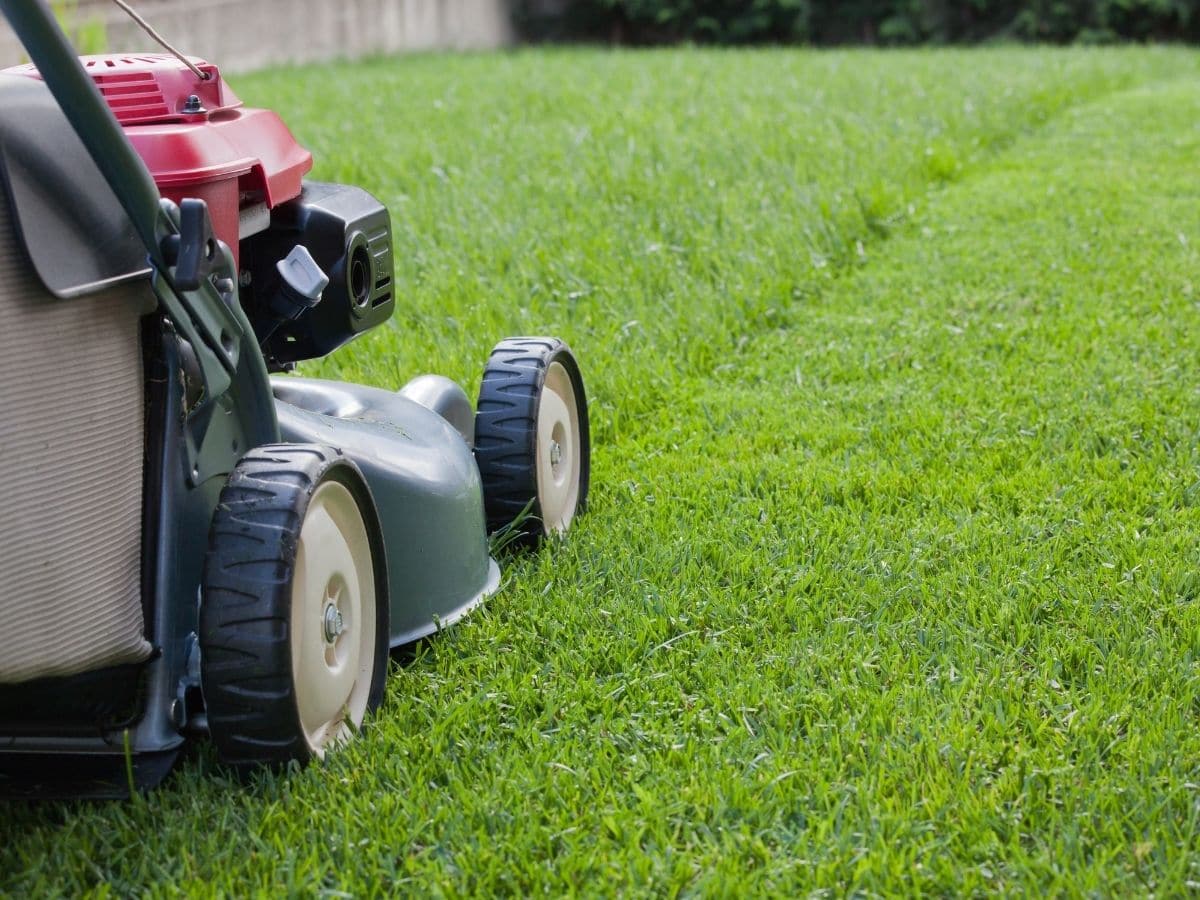 mowing the lawn