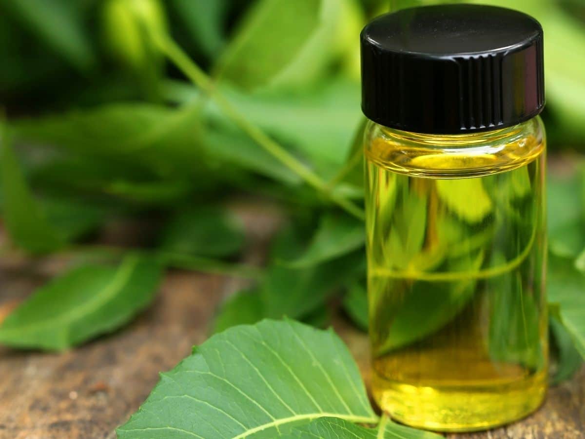 Neem Oil