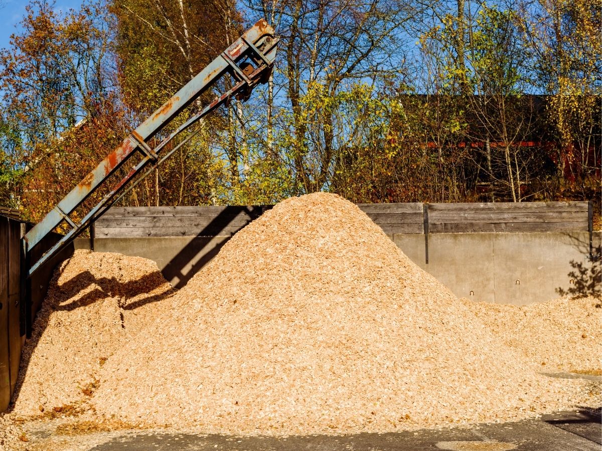 Pile of sawdust