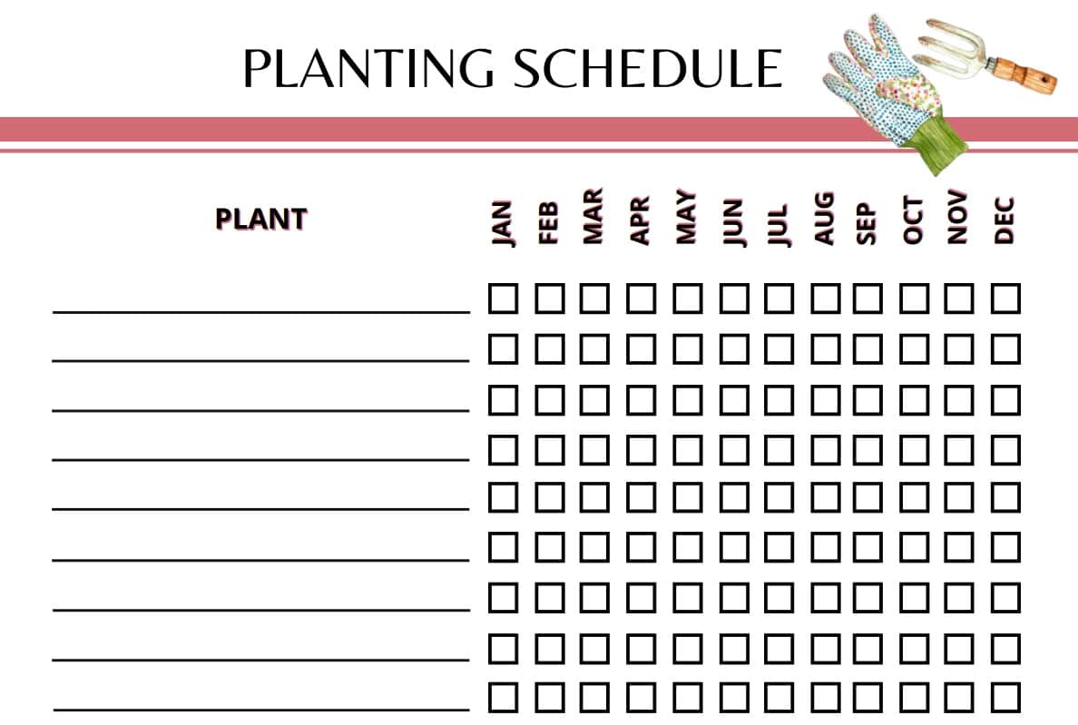 Garden Planner Planting Schedule