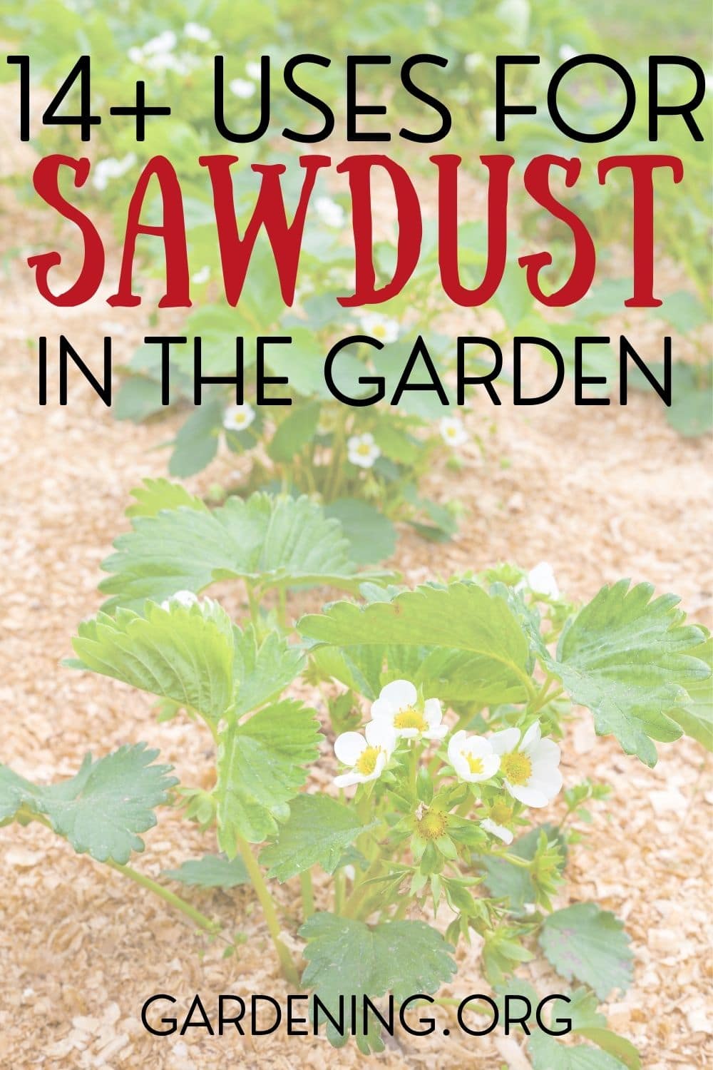 14+ Uses for Sawdust in the Garden With Tutorials - Gardening