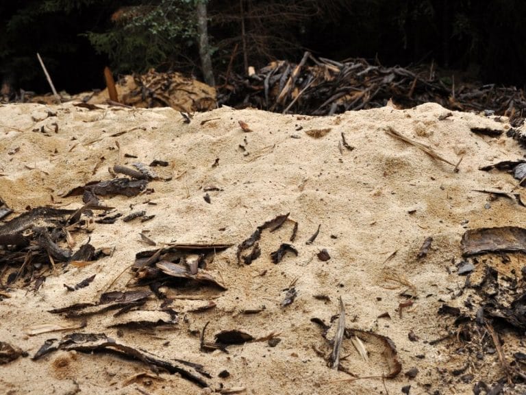 14+ Uses for Sawdust in the Garden With Tutorials Gardening