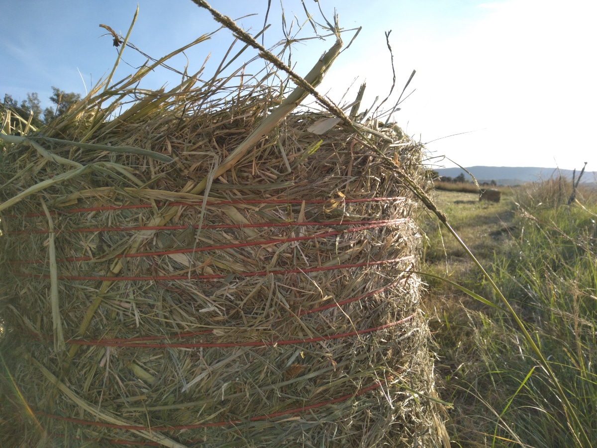 Straw Bale with Strings