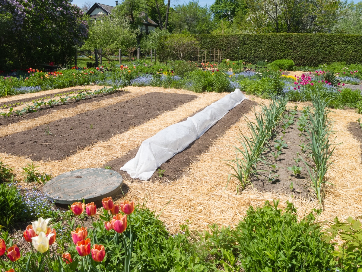 Straw Garden Paths