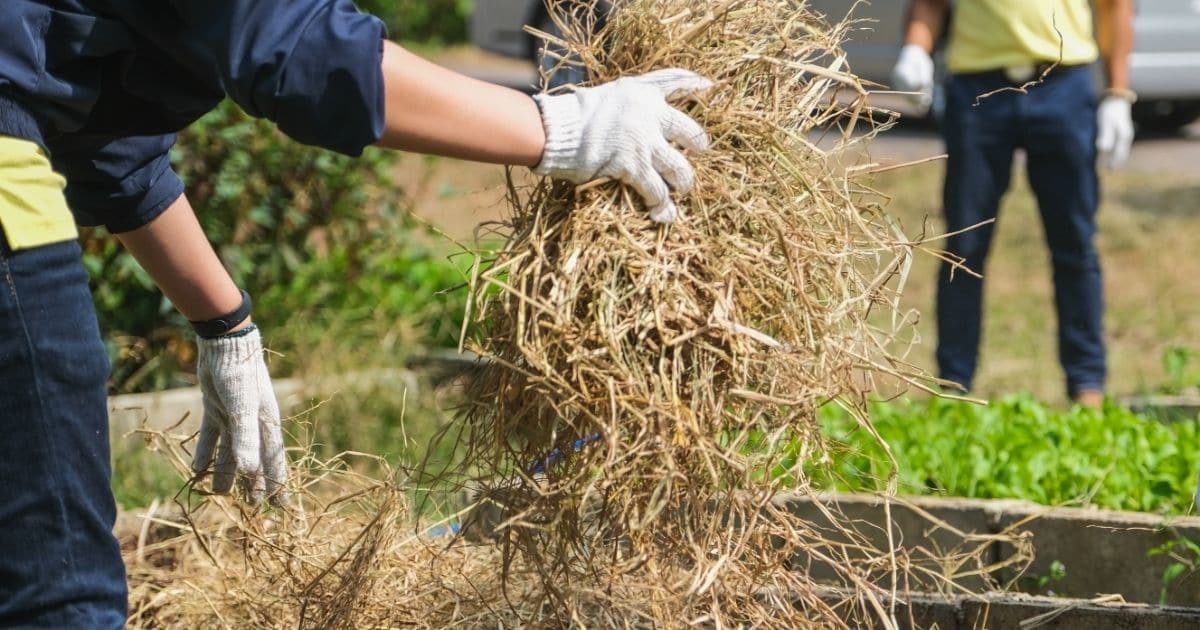 How to Build a Compost Bin with Straw Bales - Hobby Farms