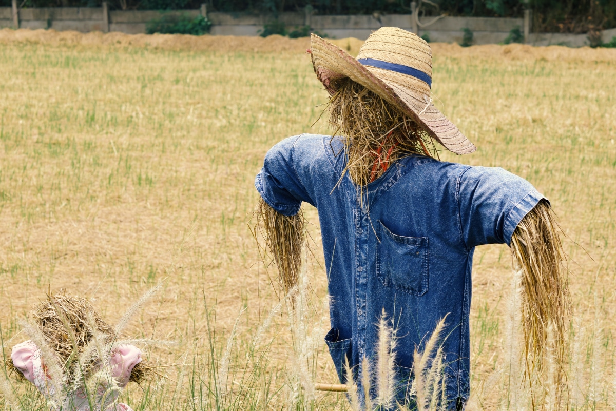 Straw scarecrow