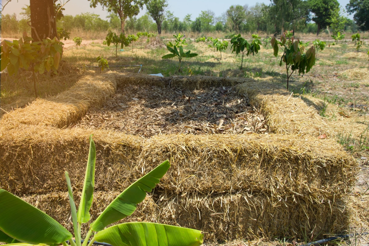 Compost bin