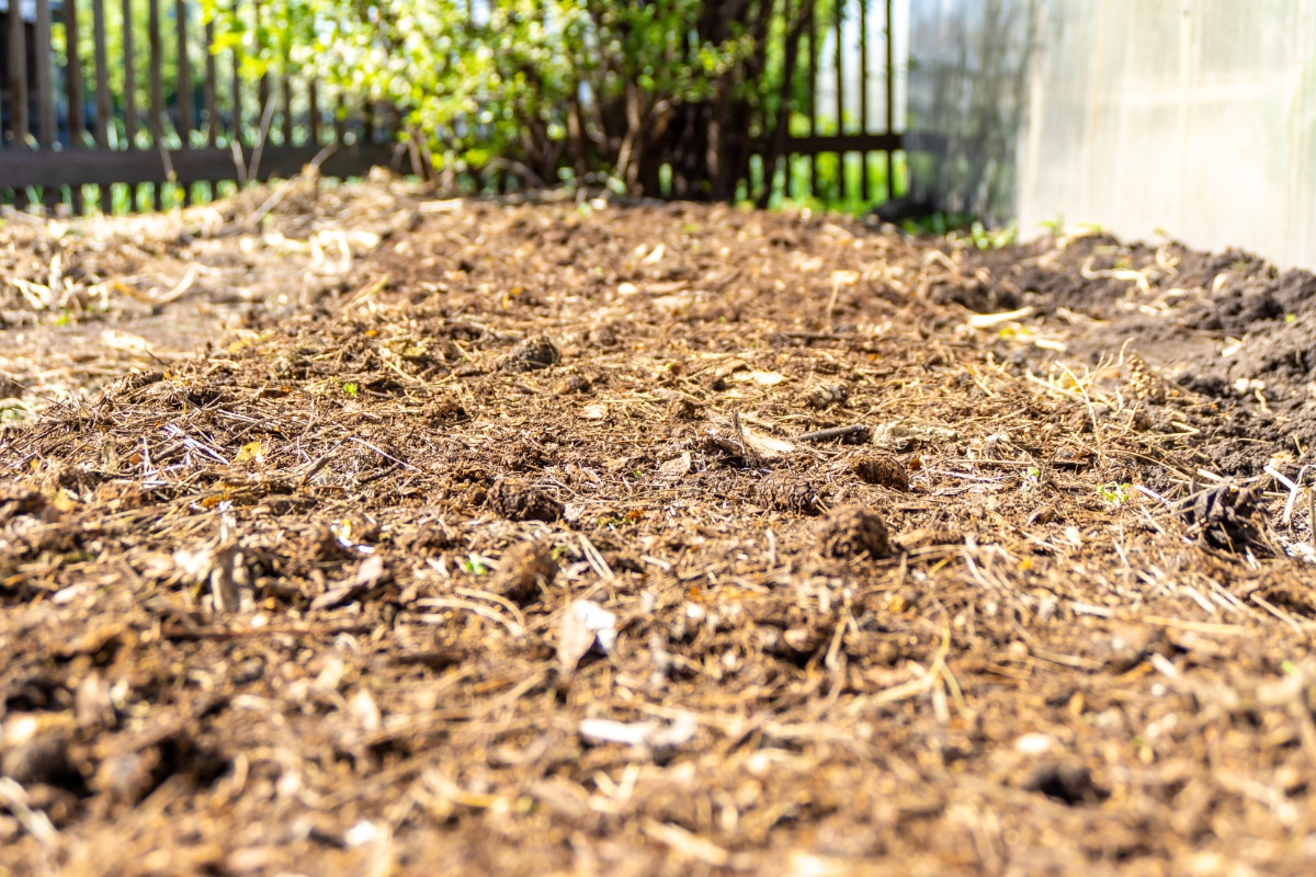 Straw in Soil