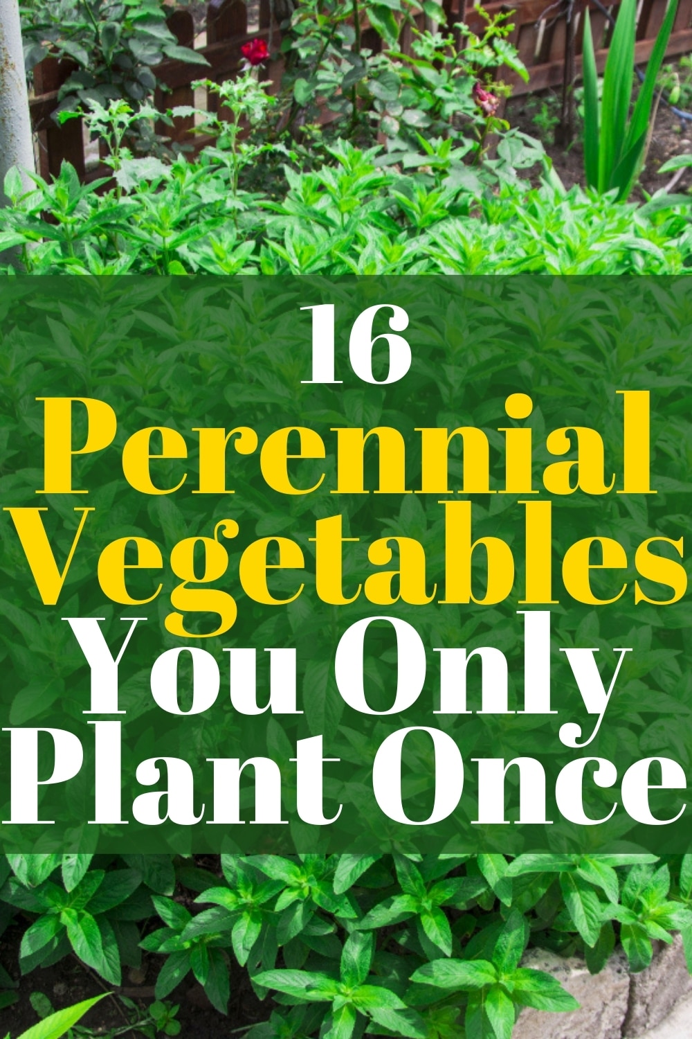 16 Perennial Vegetables and Fruits Every Garden Needs - Gardening