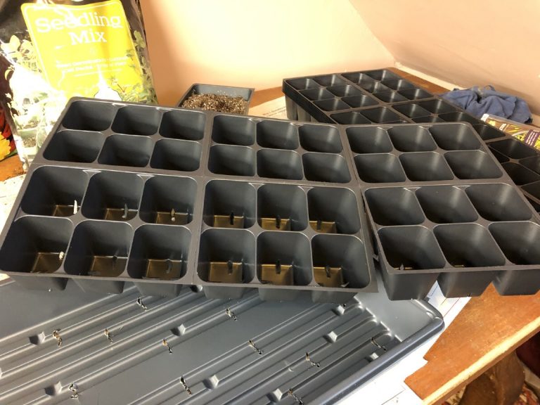 A Comprehensive Guide To Potting Up Garden Plants Gardening