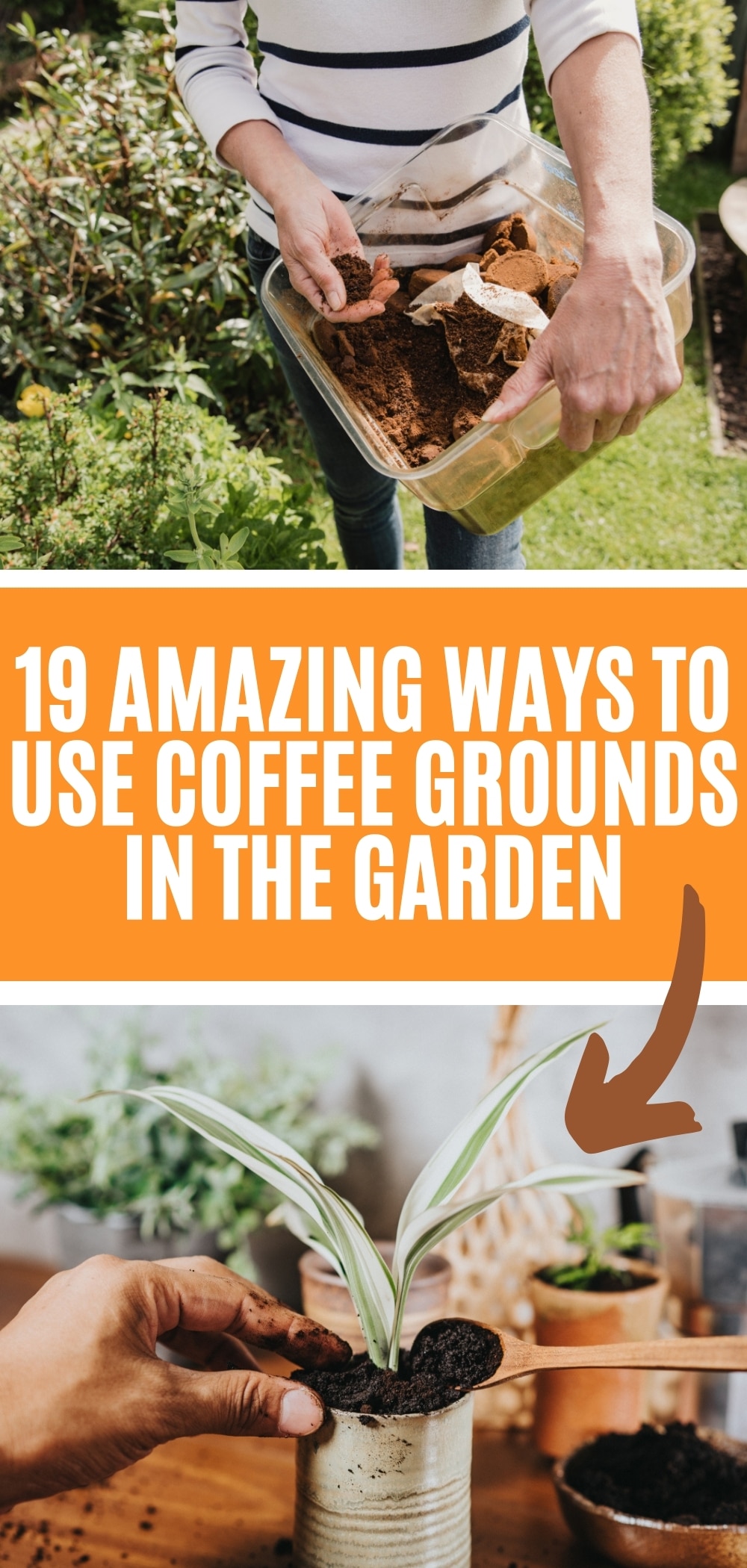 19 Top Tips For Using Coffee Grounds In The Garden - Gardening