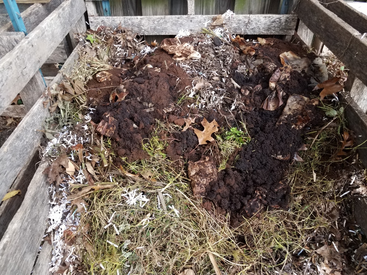 Coffee in Compost