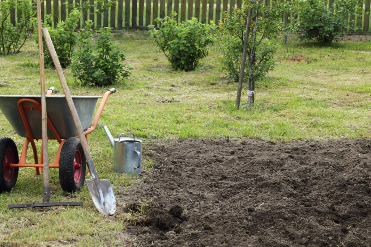 Digging Up Dirt