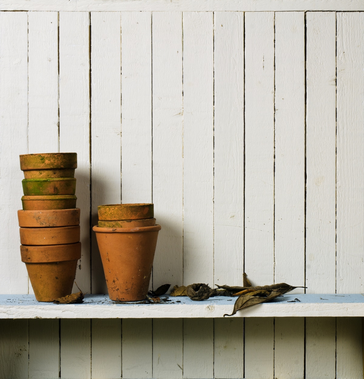 Dirty Garden Pots