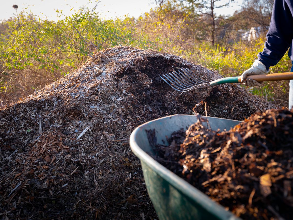 Hugelkultur compost pile