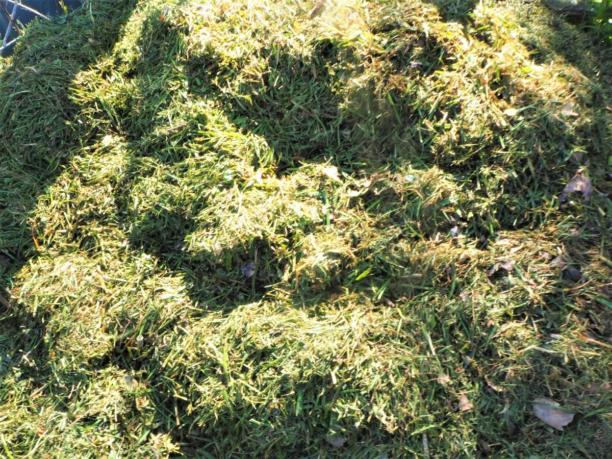 Grass clippings added to compost.