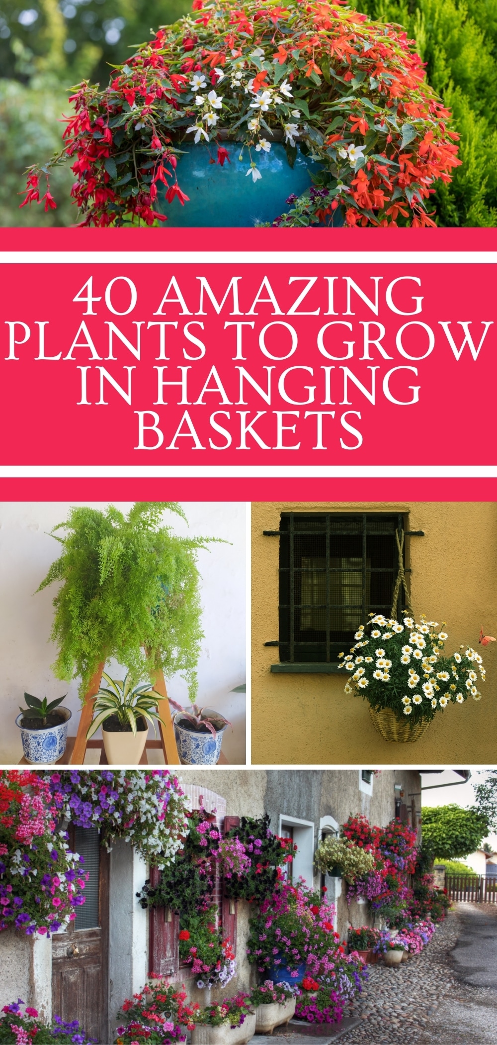 40 Amazing Plants to Grow in Hanging Baskets Gardening