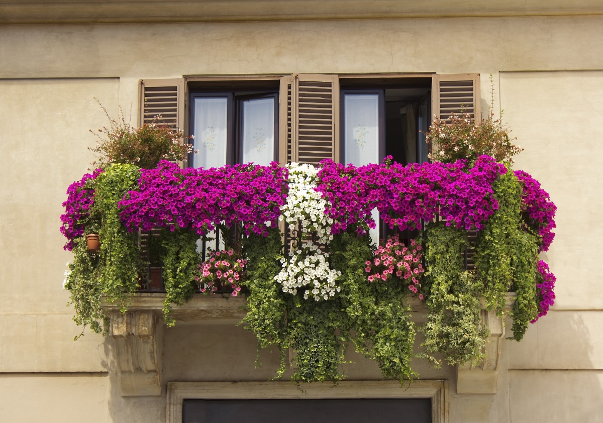 Balcony Flower Garden