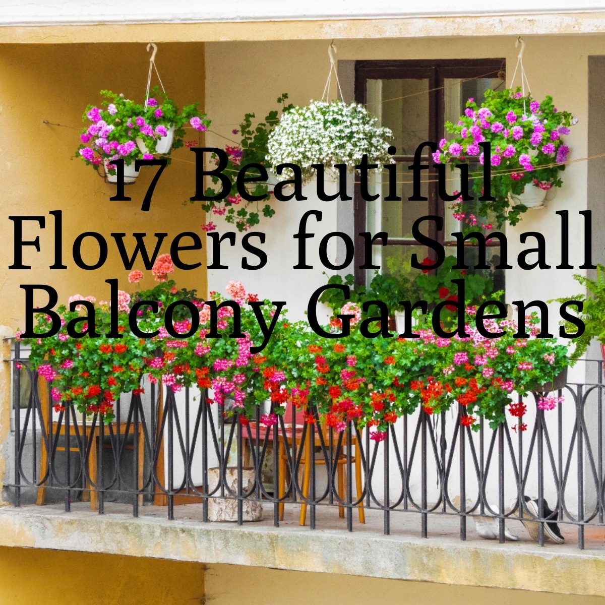 17 Beautiful Flowers for Small Balcony Gardens - Gardening