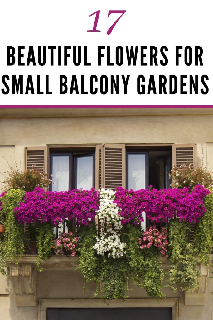 Easy Bee Edible Balcony Gardening