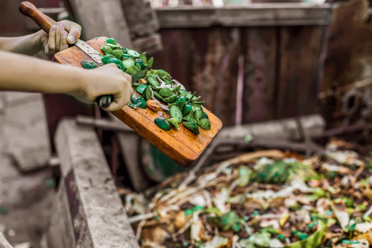 Compost