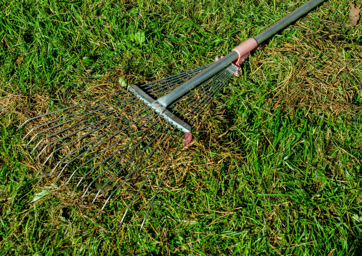 Gardening with Pine Needles