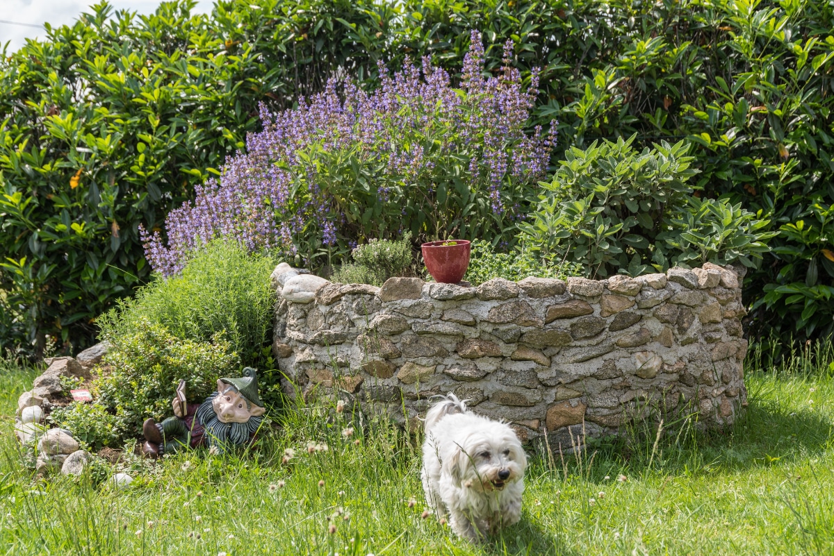 Herb Garden