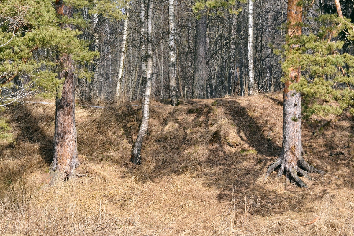 Pine Needle Erosion Control