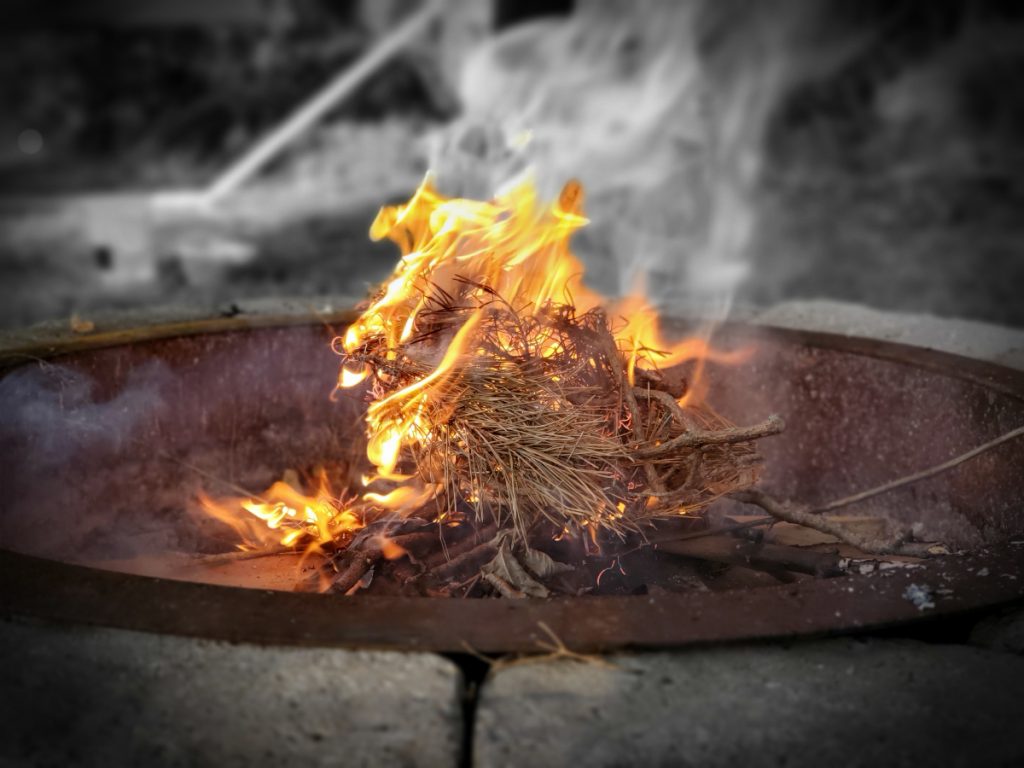 16 Innovative Ways to Use Pine Needles in the Garden Gardening